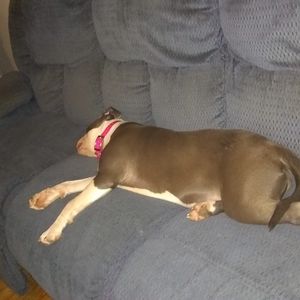 Meet your Posher, Douglas